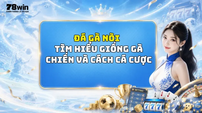 Đá Gà Nòi 78Win - Tìm Hiểu Giống Gà Chiến Và Cách Cá Cược