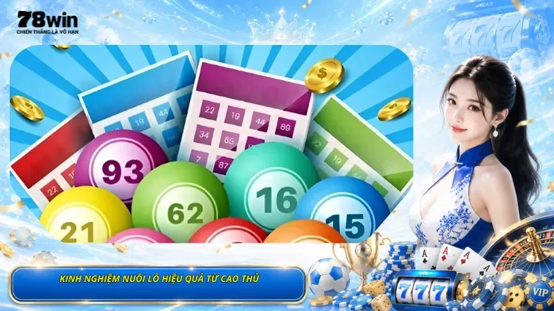 Kinh Nghiệm Nuôi Lô Hiệu Quả Từ Cao Thủ