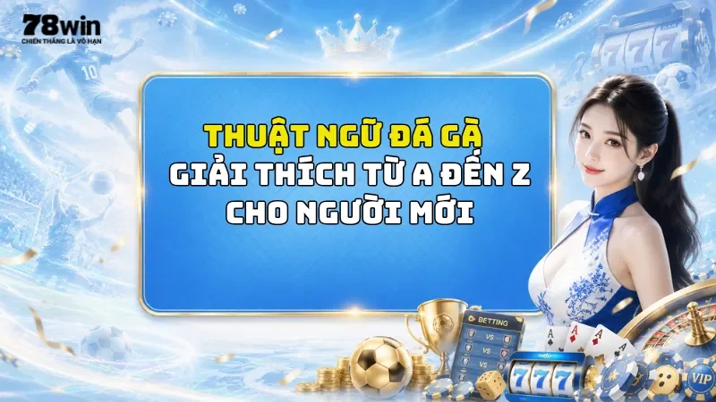 Thuật Ngữ Đá Gà 78Win - Giải Thích Từ A Đến Z Cho Người Mới