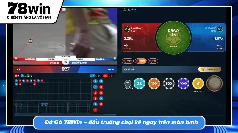 Trải nghiệm sức nóng từ sới gà quốc tế với chất lượng hình ảnh sắc nét