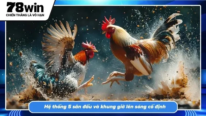 Lịch trình thi đấu dày đặc đáp ứng đam mê cược kê không gián đoạn